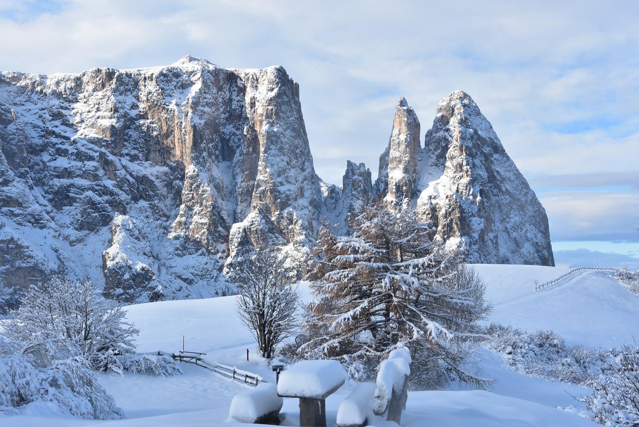 Hotel Gstatsch Alpe Di Siusi Eksteriør billede